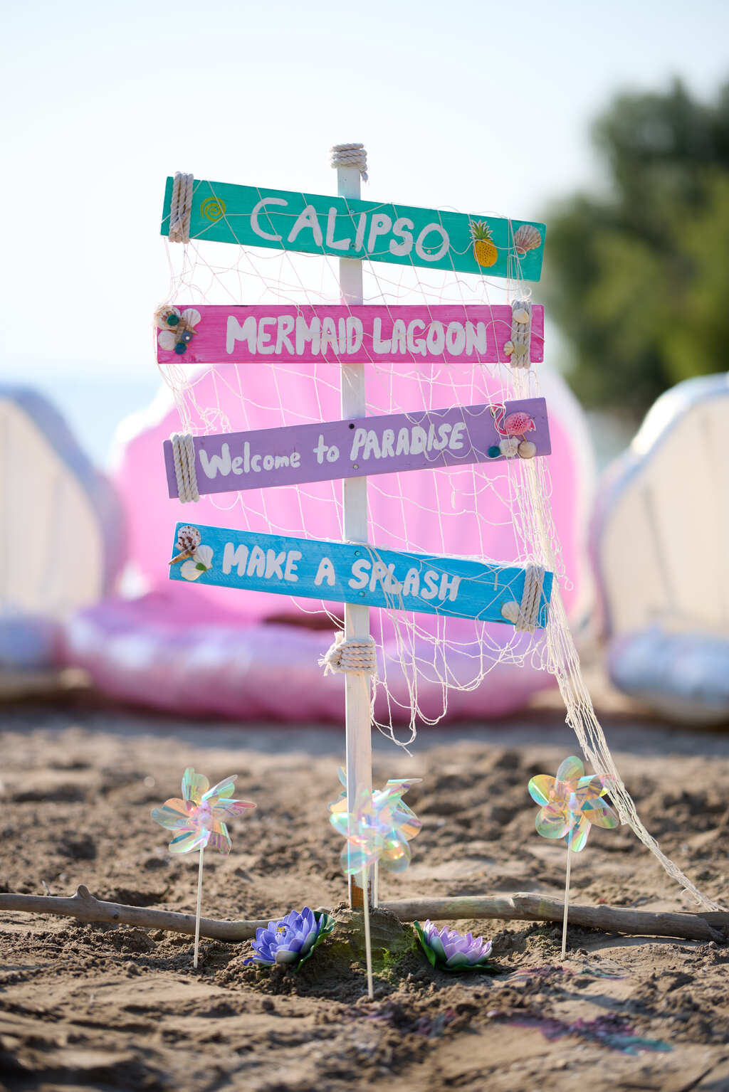Volunteer with Calipso 2026